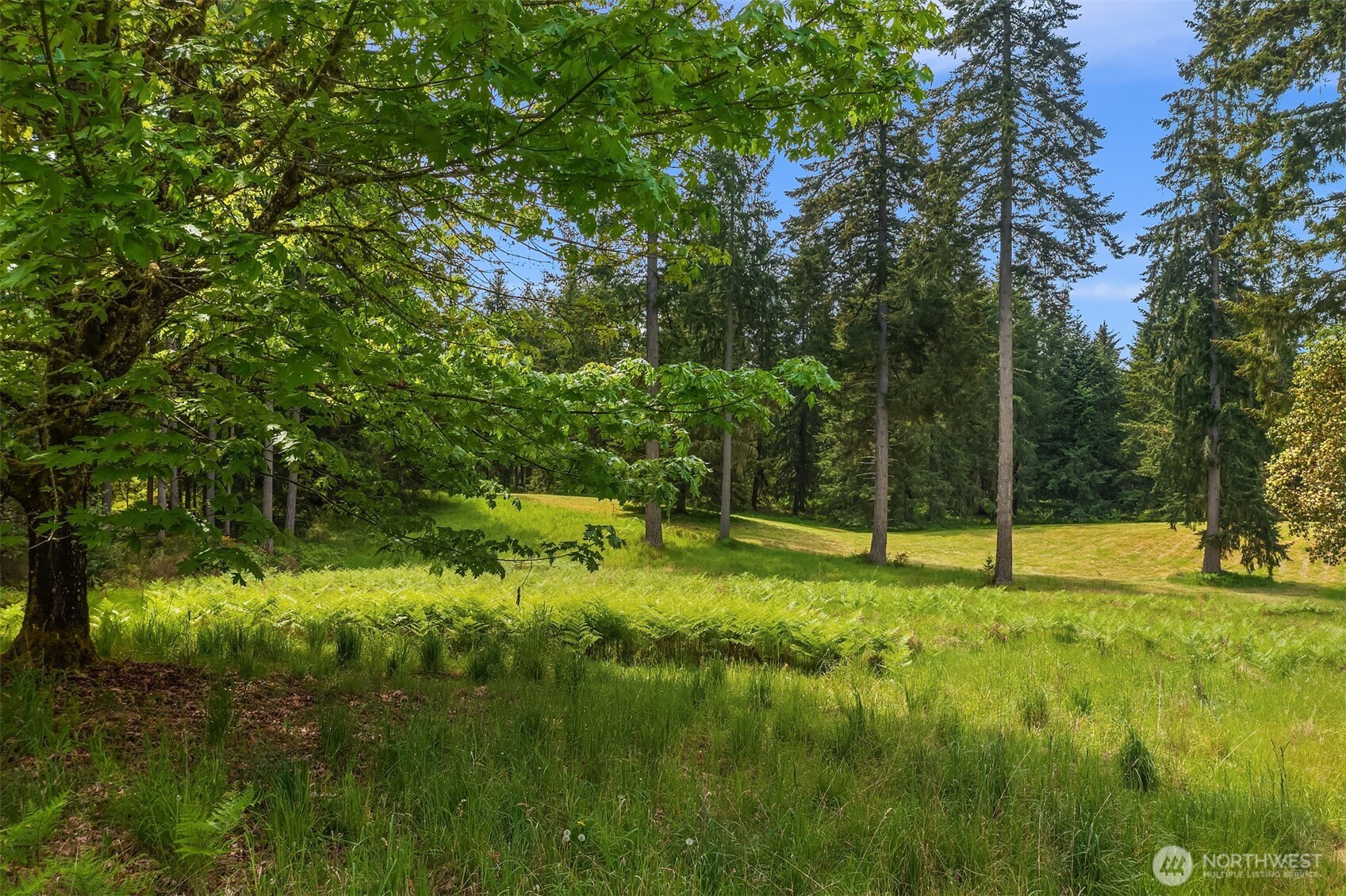 11920 SW 232nd Street