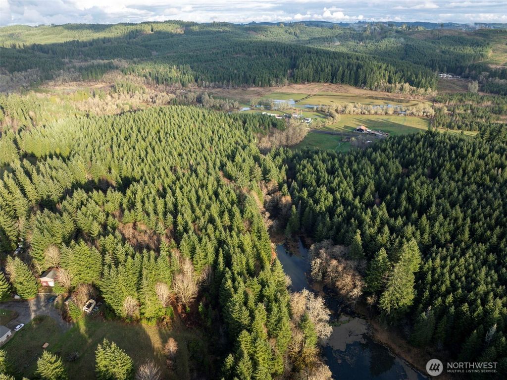 Photo of 0 Bunker Creek Road, Adna, WA 98522 (MLS # 2461148)