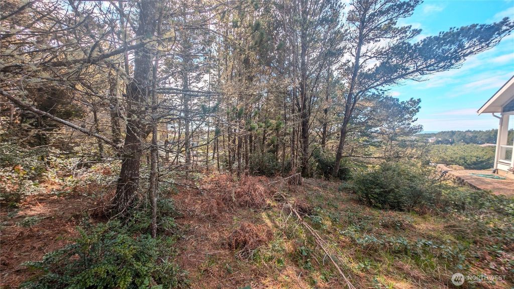 Photo of 35512 J Place, Ocean Park, WA 98640 (MLS # 2502682)