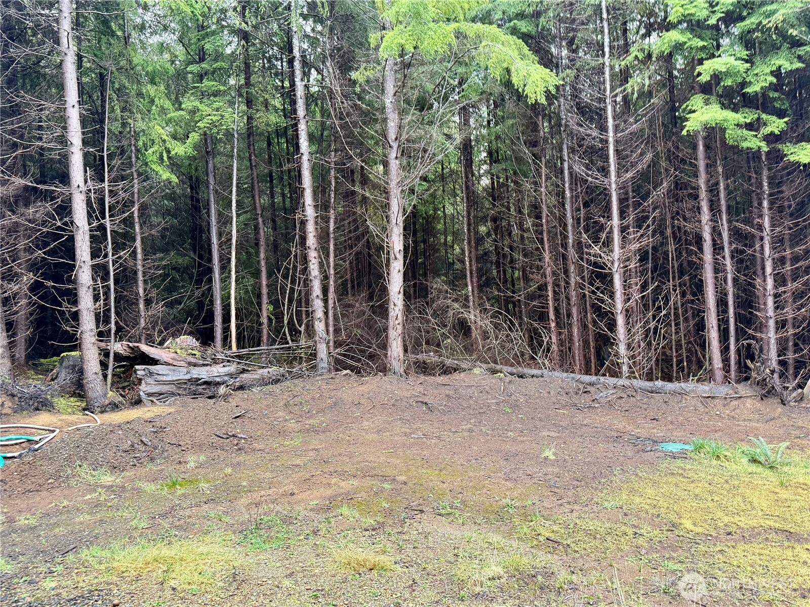 97 Dempsey Creek Lane