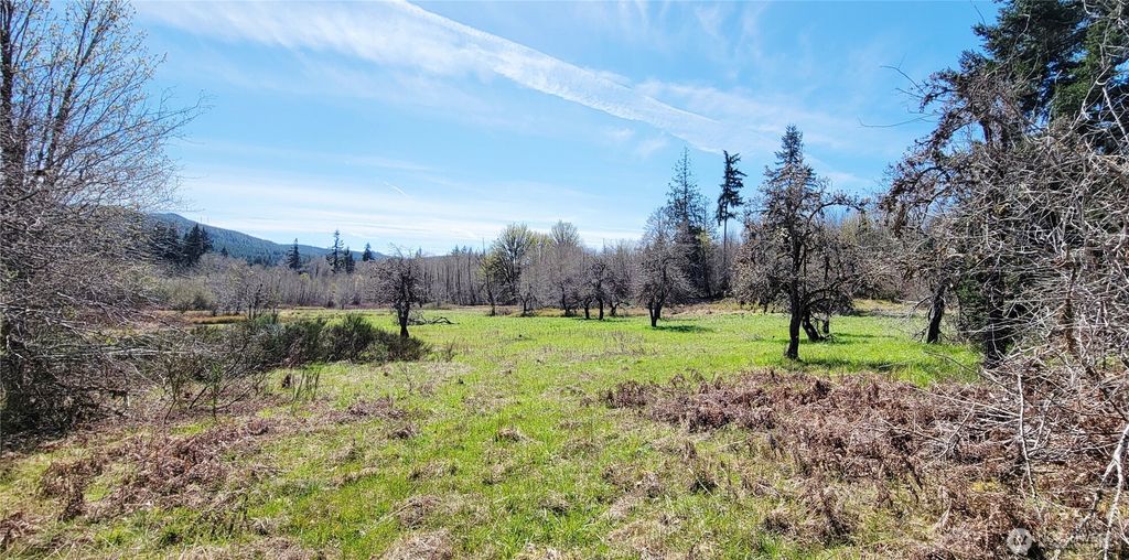 Photo of 0 W Cloquallum Road, Shelton, WA 98584 (MLS # 2530612)