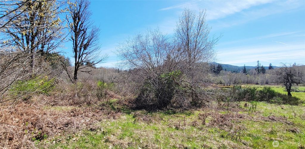 Photo of 0 W Cloquallum Road, Shelton, WA 98584 (MLS # 2530612)