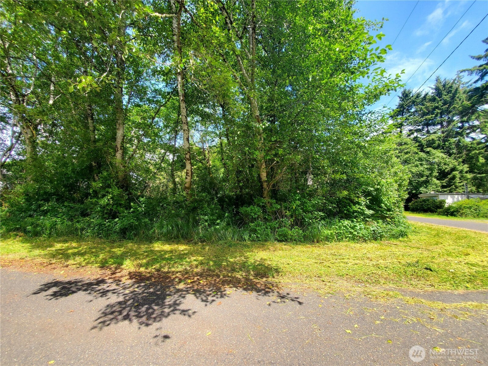 0 Woodland Lane