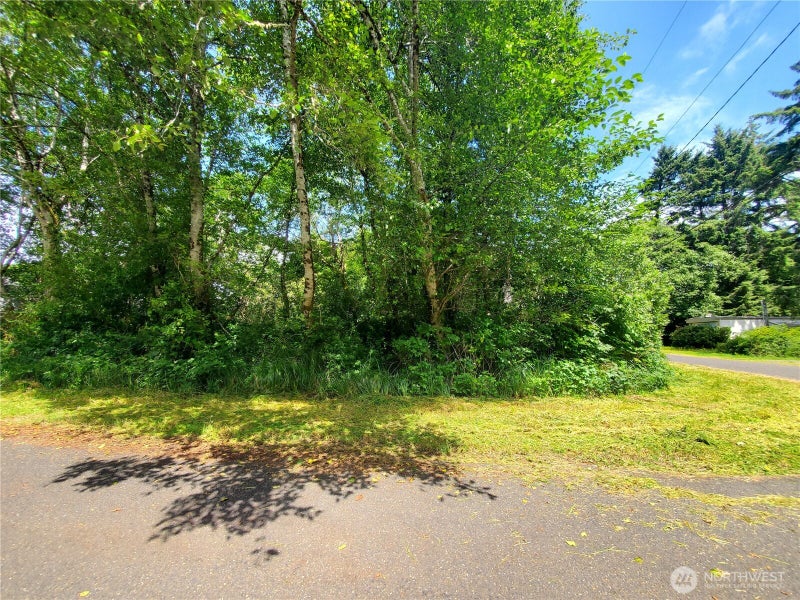 0 Woodland Lane