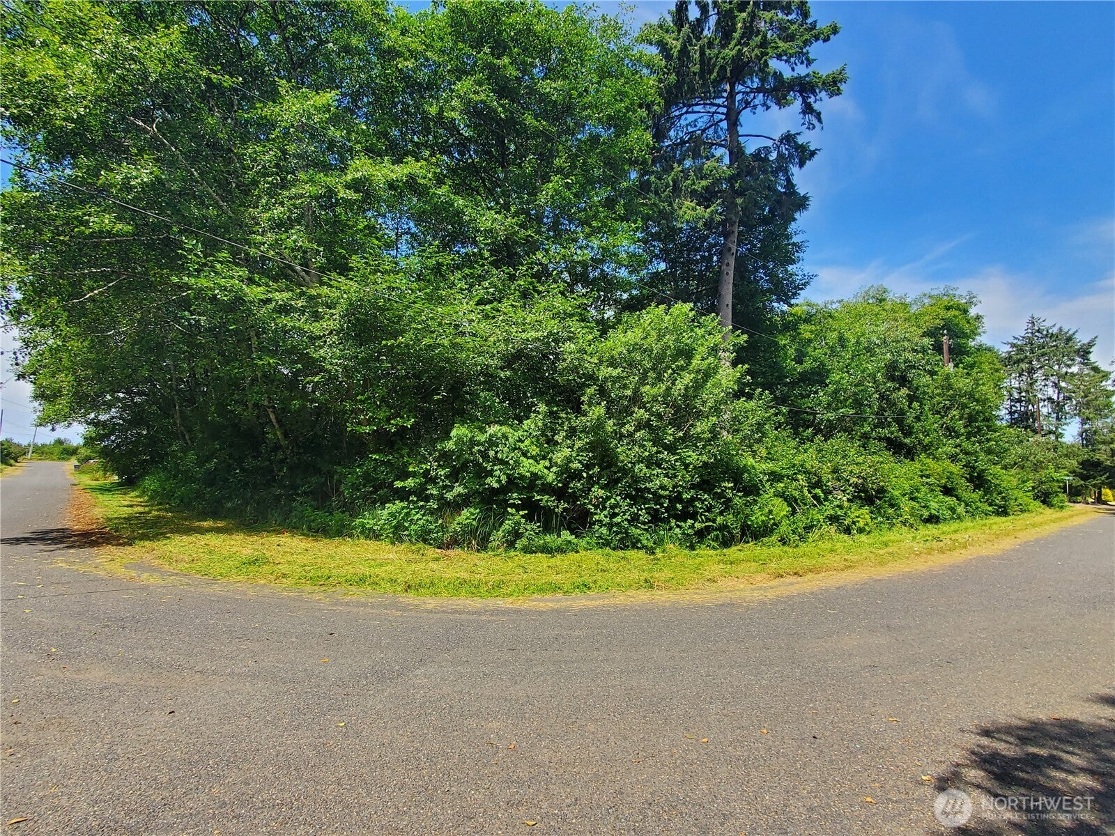 0 Woodland Lane