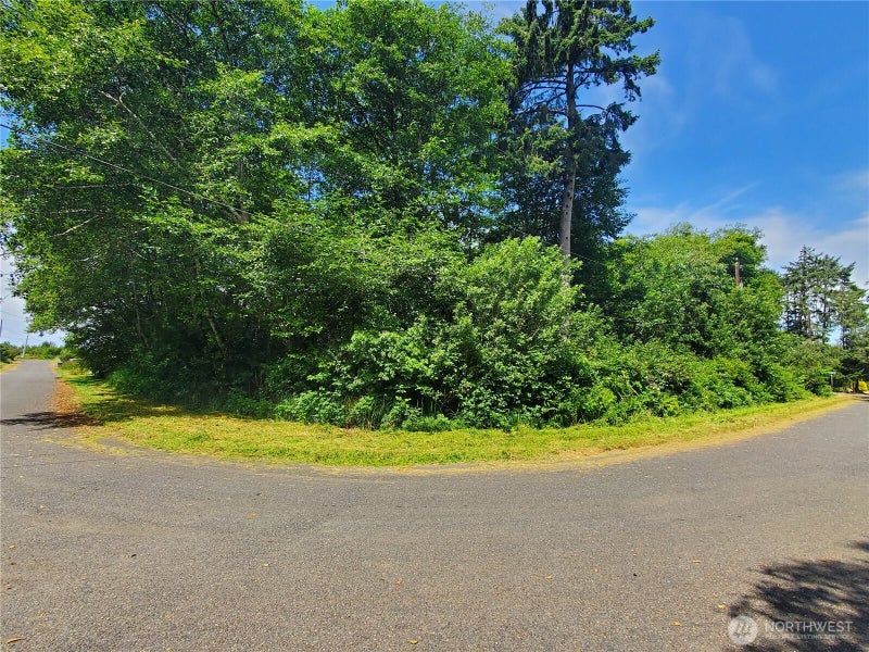 0 Woodland Lane