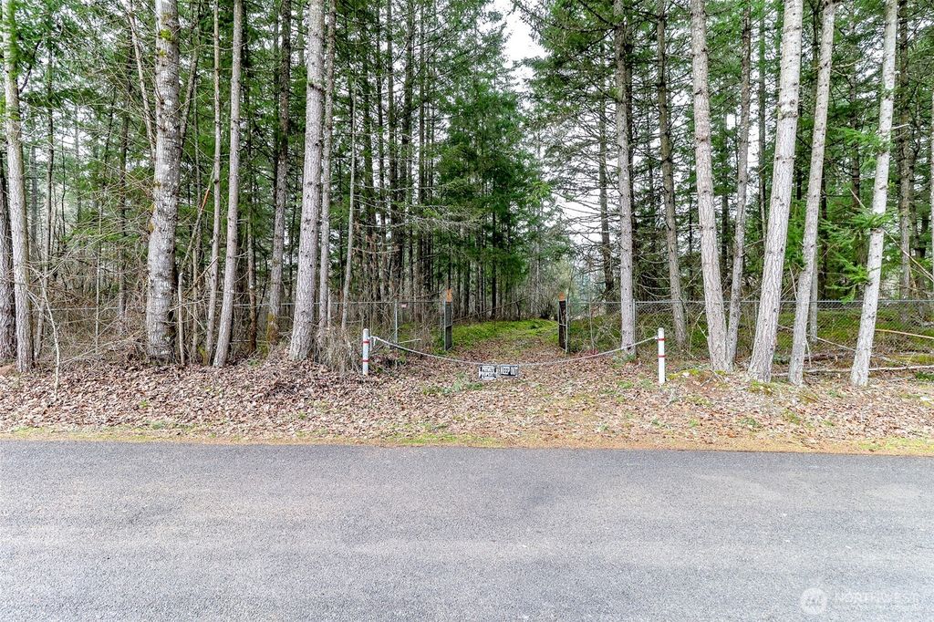 Photo of 25414 48th Avenue E, Graham, WA 98338 (MLS # 2476721)