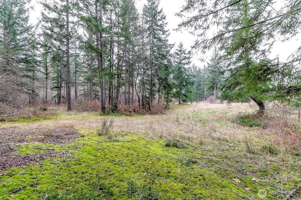 Photo of 25414 48th Avenue E, Graham, WA 98338 (MLS # 2476721)