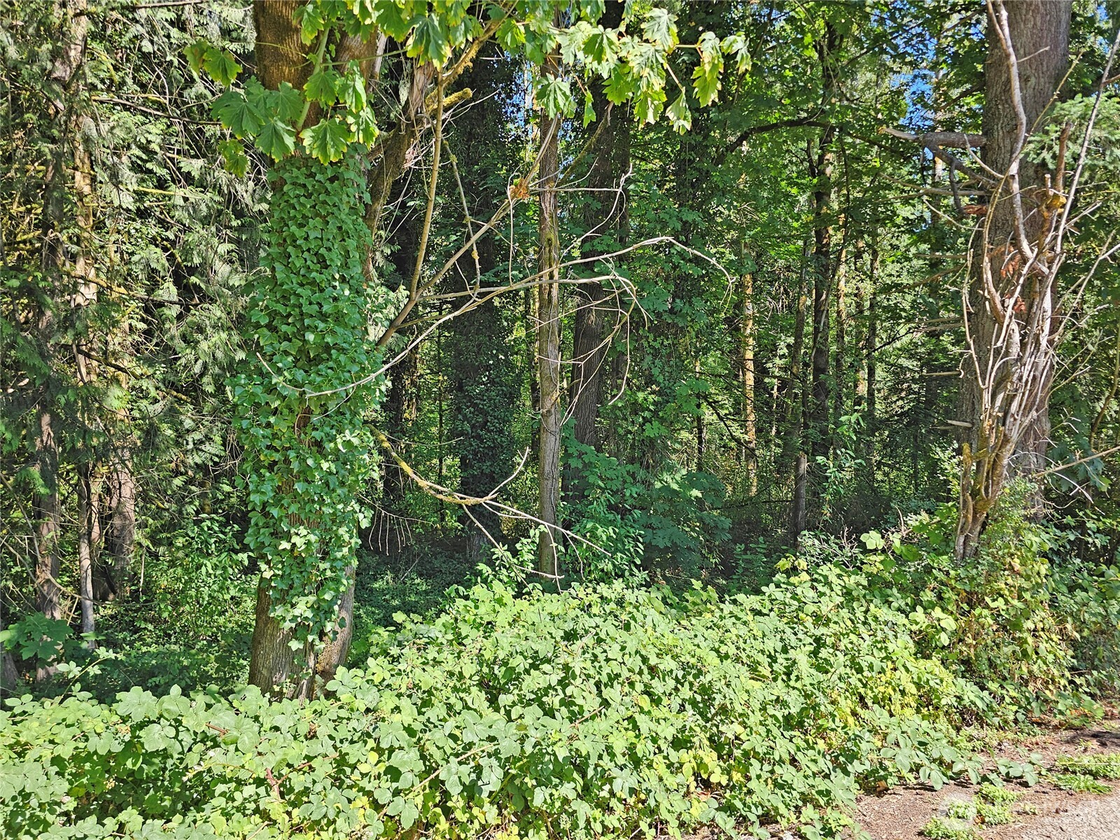 12624 183rd Avenue SW