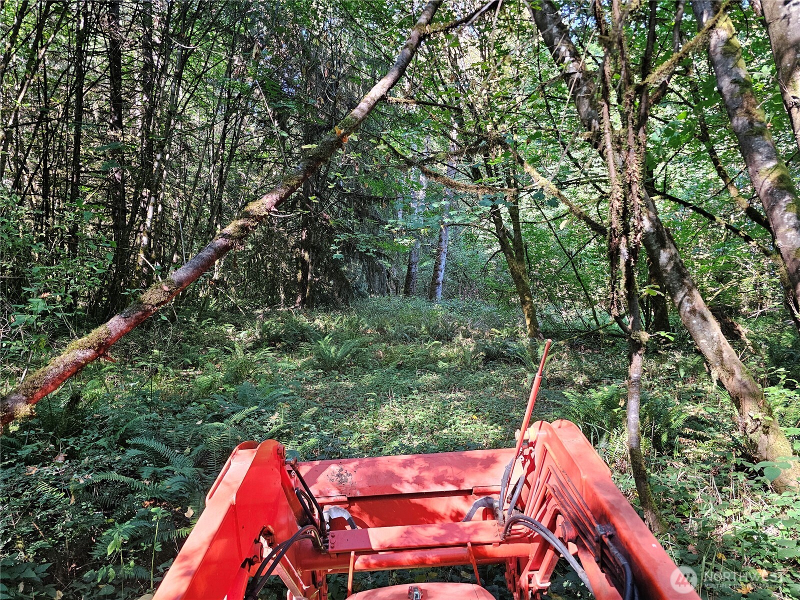 12624 183rd Avenue SW