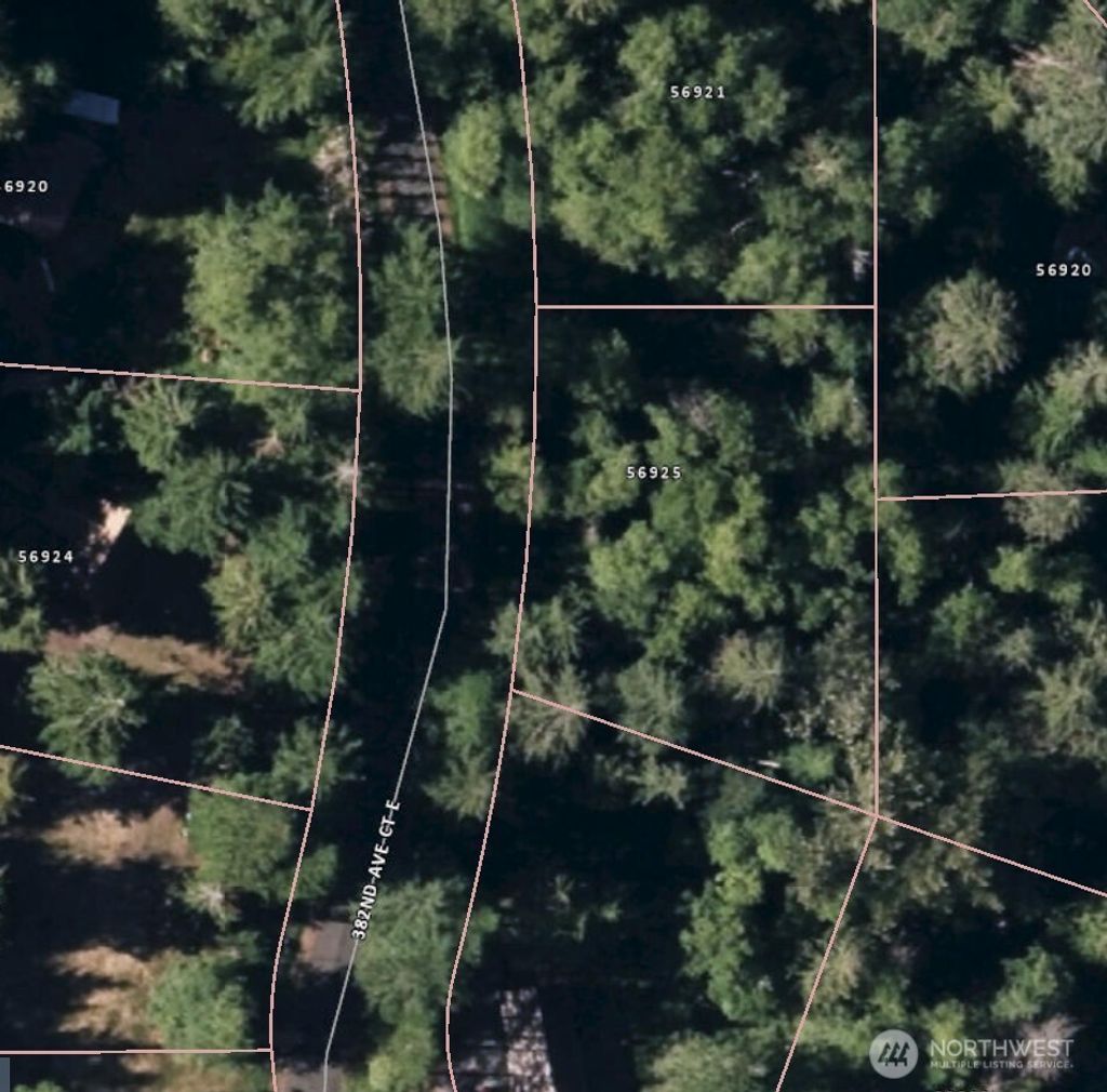 Photo of 56925 382nd Avenue Ct E, Ashford, WA 98304 (MLS # 2489782)