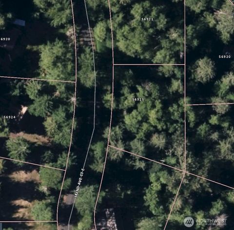 Photo of 56925 382nd Avenue Ct E, Ashford, WA 98304 (MLS # 2489782)