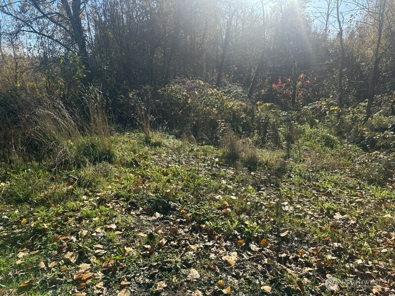 12217 SE Petrovitsky Road