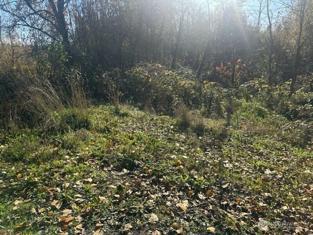 Photo of 12217 SE Petrovitsky Road, Renton, WA 98058 (MLS # 2456922)