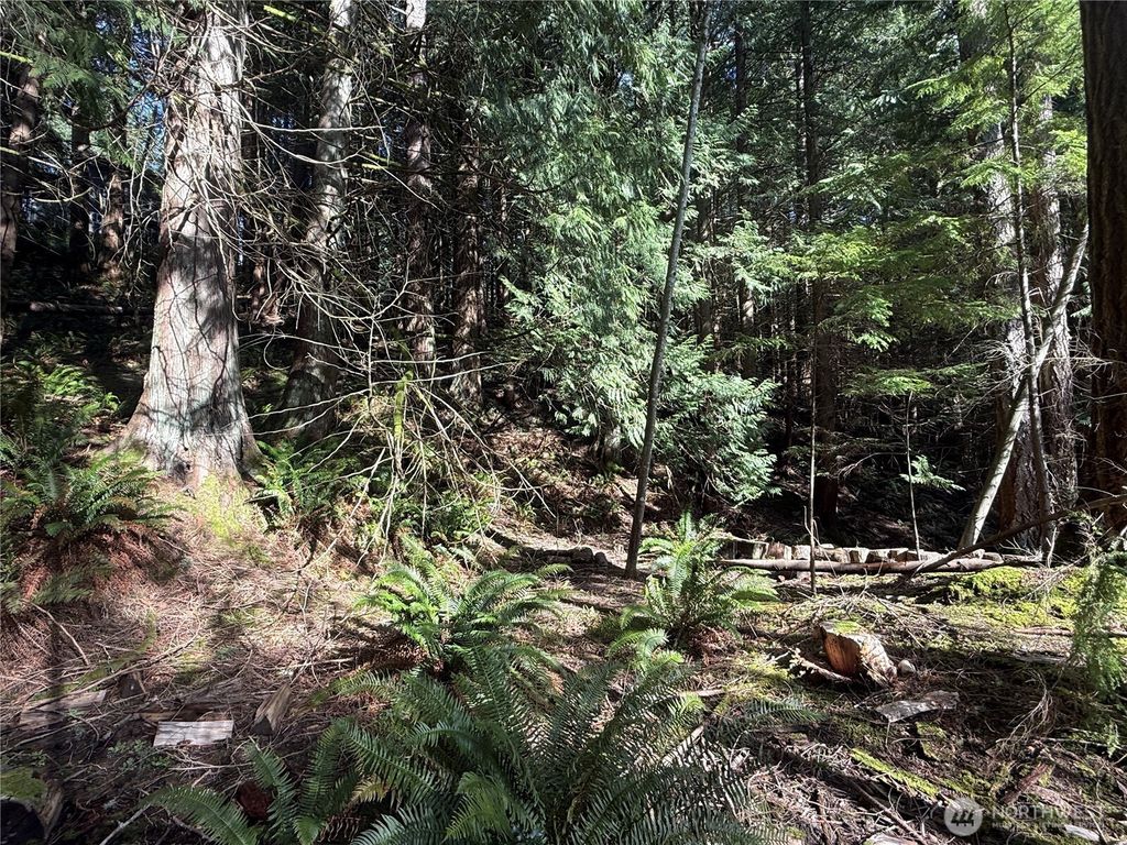 Photo of 14 Granite Circle, Bellingham, WA 98229 (MLS # 2499294)