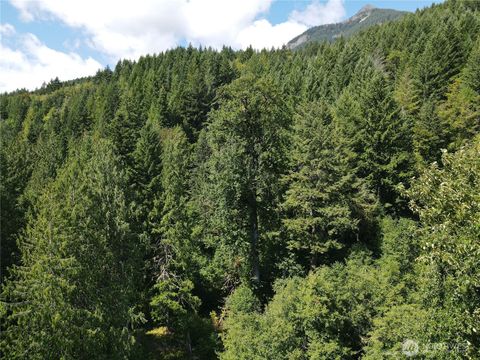 0 Cannon Road White Pass WA 98937