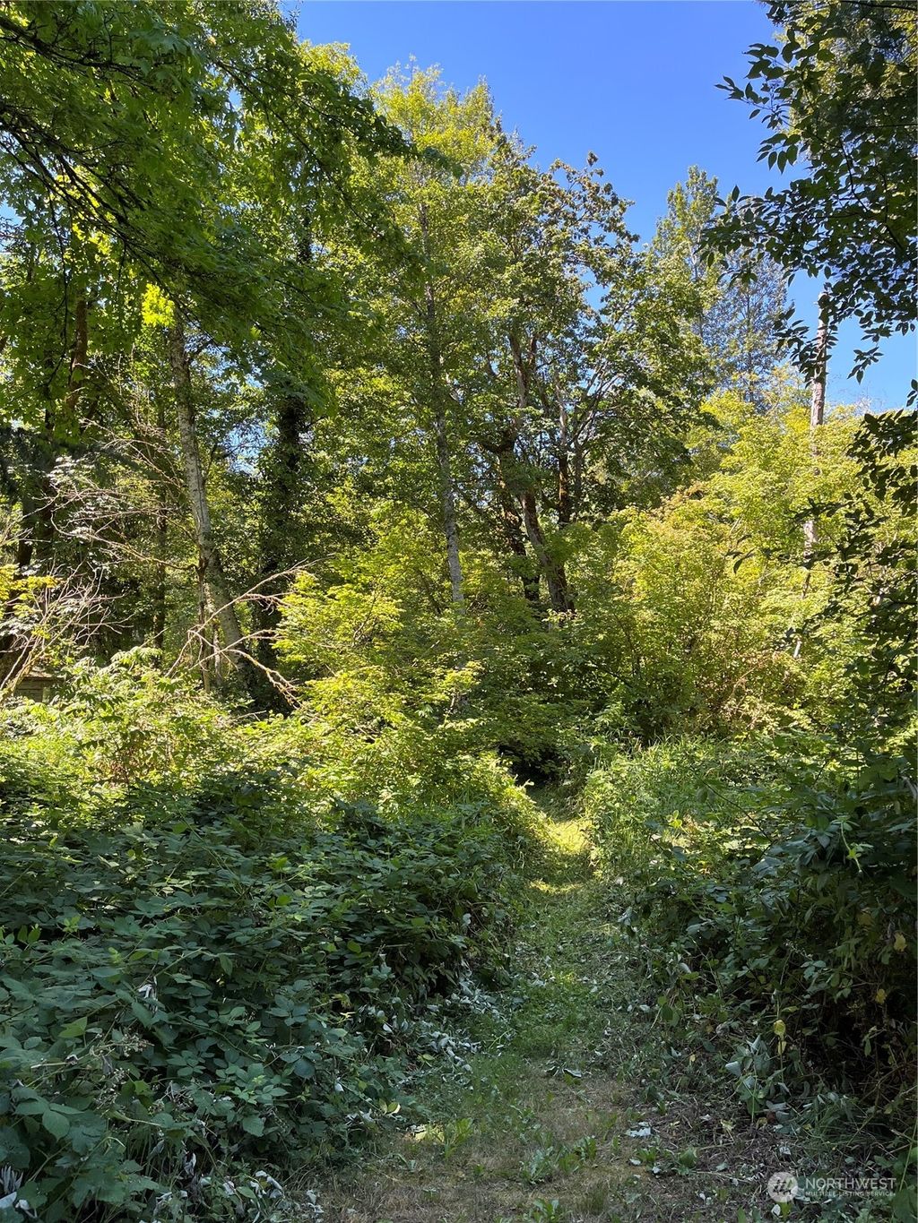 Photo of 10033 416th Avenue SE, North Bend, WA 98045 (MLS # 2172363)