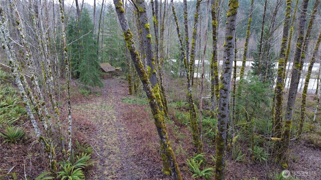 Photo of 0 Spirit Lake Hwy, Toutle, WA 98649 (MLS # 2491796)
