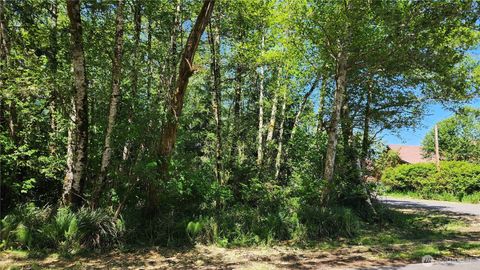 801 Duck Lake Drive NE Ocean Shores WA 98569