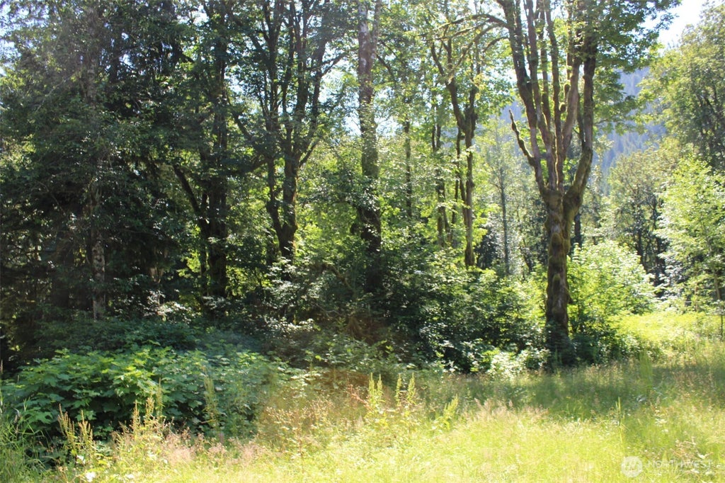 Photo of 0 South Shore Drive, Mount Vernon, WA 98274 (MLS # 2556694)