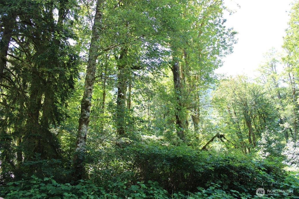 Photo of 0 South Shore Drive, Mount Vernon, WA 98274 (MLS # 2556694)