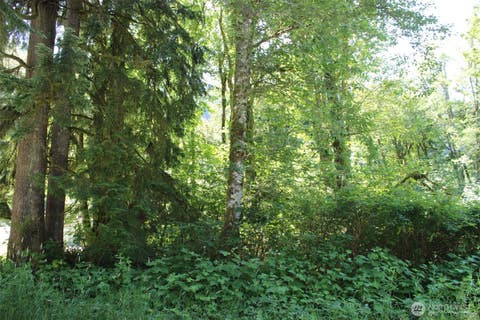 Photo of 0 South Shore Drive, Mount Vernon, WA 98274 (MLS # 2556694)