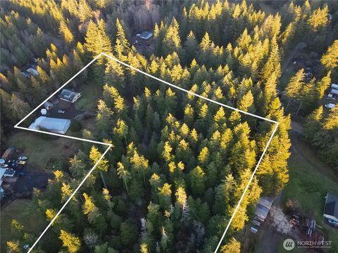 Photo of 2070 W Cloquallum Road, Shelton, WA 98584 (MLS # 2469345)