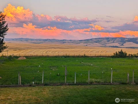 Photo of 1224 Rooster Road, Walla Walla, WA 99362 (MLS # 2478300)