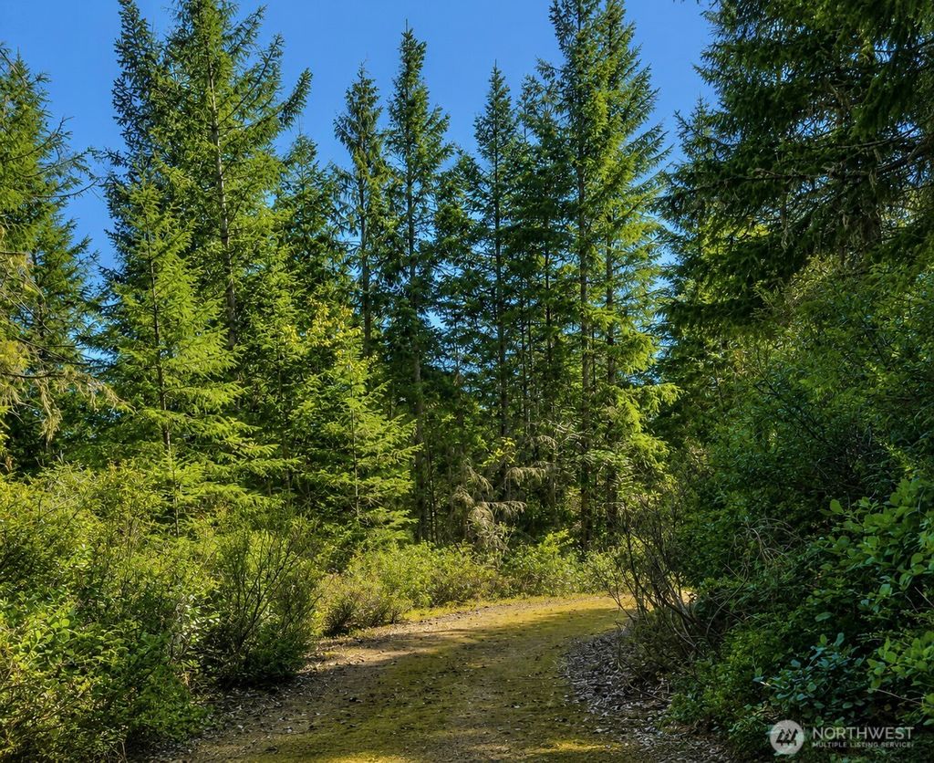 Photo of 7611 N Triton Heights Road, Lilliwaup, WA 98555 (MLS # 2528730)