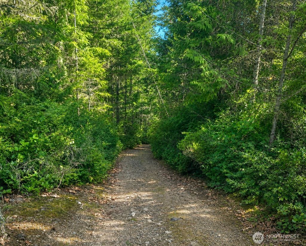 Photo of 7611 N Triton Heights Road, Lilliwaup, WA 98555 (MLS # 2528730)