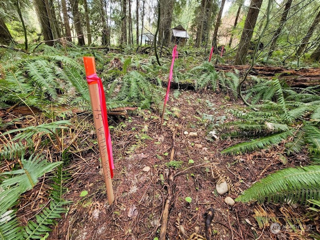 Photo of 22500 NE Old Woodinville Duvall Road, Woodinville, WA 98077 (MLS # 2060191)