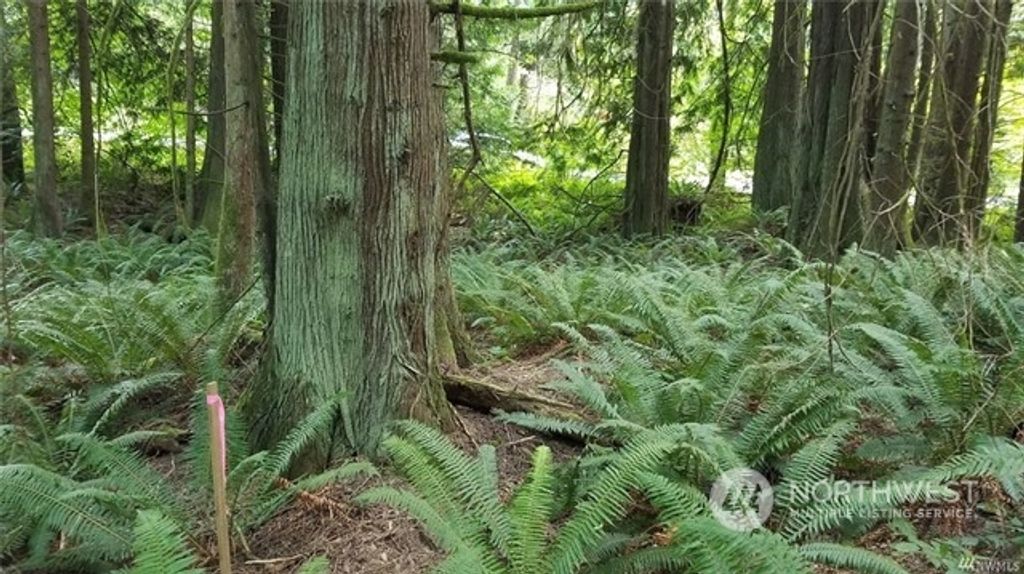 Photo of 22500 NE Old Woodinville Duvall Road, Woodinville, WA 98077 (MLS # 2060191)