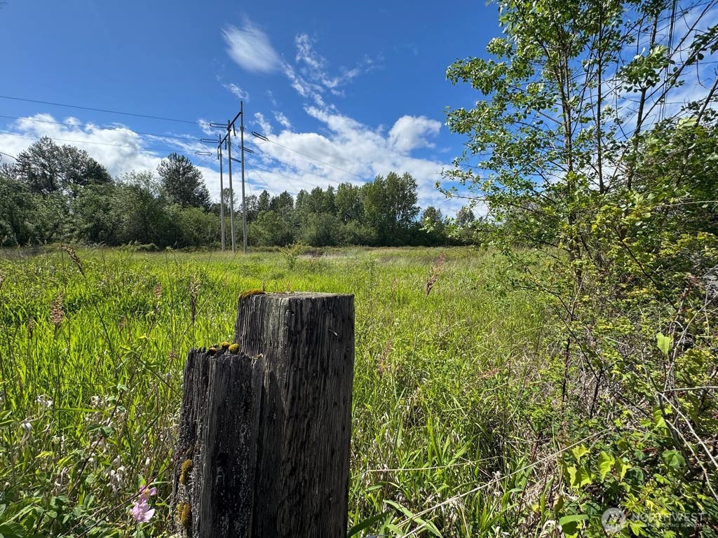 Photo of 10641 44th Avenue E, Tacoma, WA 98446 (MLS # 2573502)