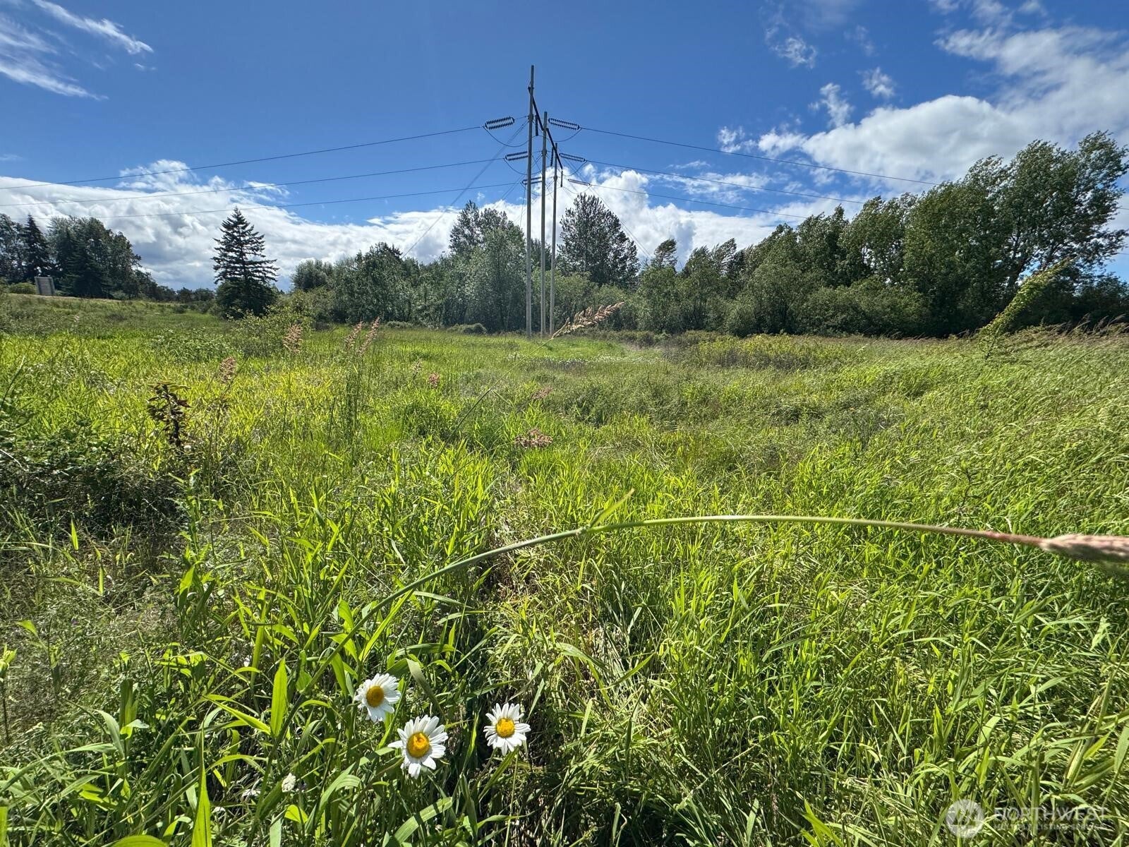 10641 44th Avenue E