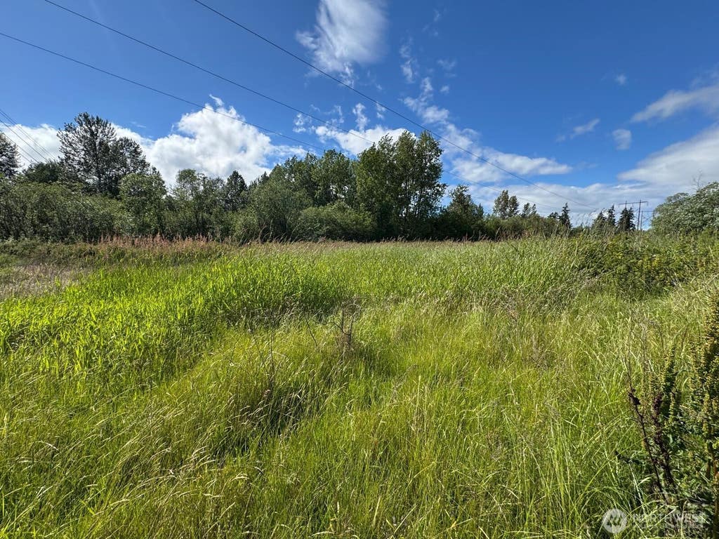 Photo of 10641 44th Avenue E, Tacoma, WA 98446 (MLS # 2573502)