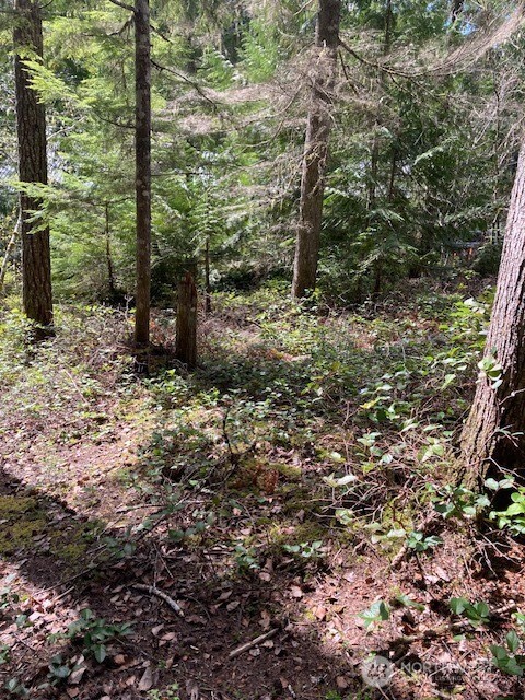 410 N Mount Seattle Way