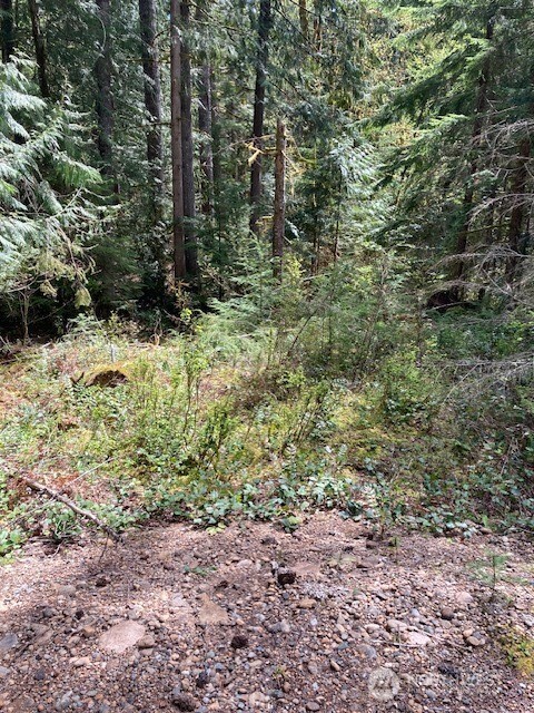 410 N Mount Seattle Way