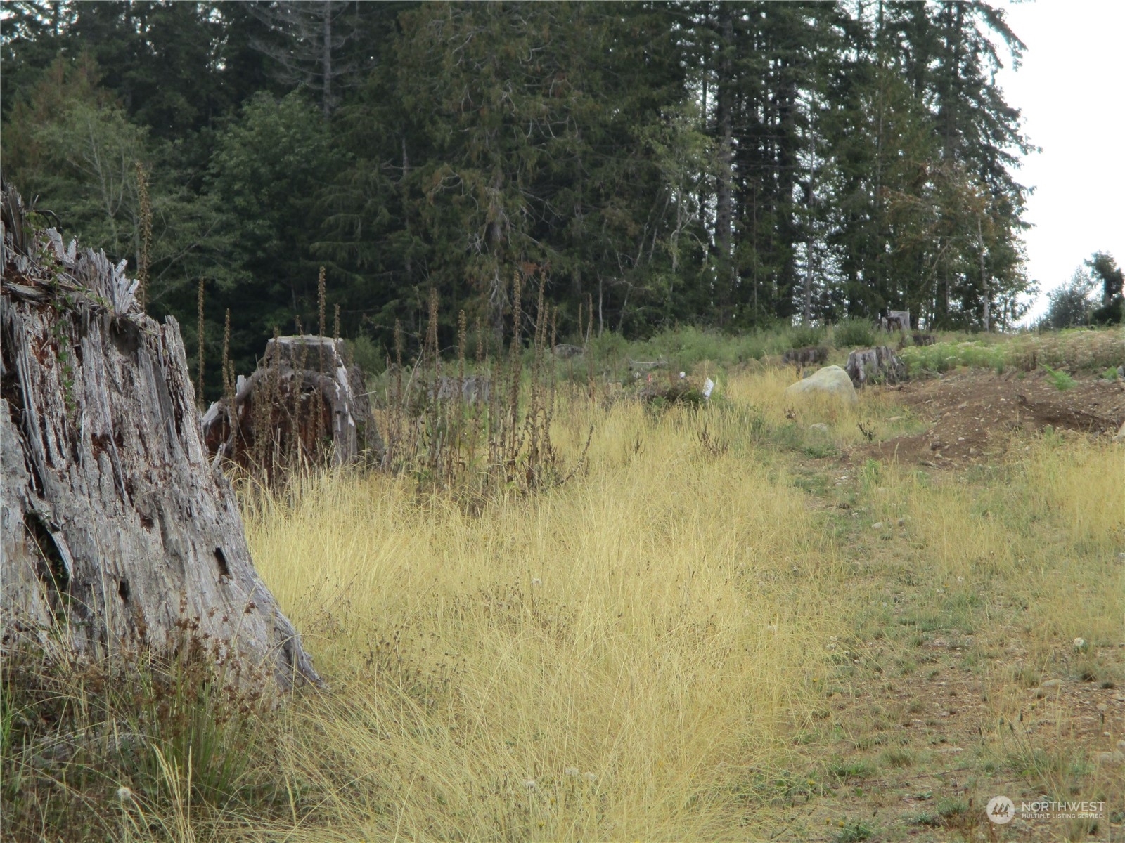0 Rimstone Loop
