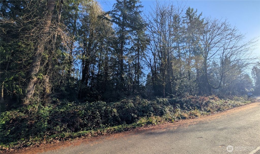 Photo of 145 XX 201st Avenue SE, Renton, WA 98058 (MLS # 2475983)