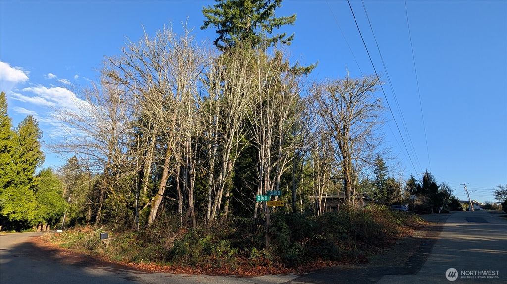 Photo of 145 XX 201st Avenue SE, Renton, WA 98058 (MLS # 2475983)