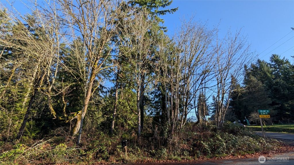 Photo of 145 XX 201st Avenue SE, Renton, WA 98058 (MLS # 2475983)