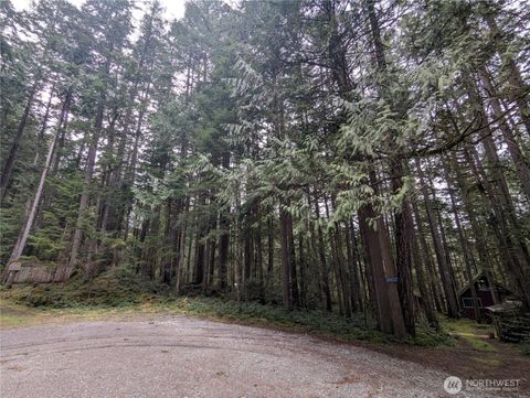 Photo of 66 Skagit Way, Marblemount, WA 98267 (MLS # 2491901)