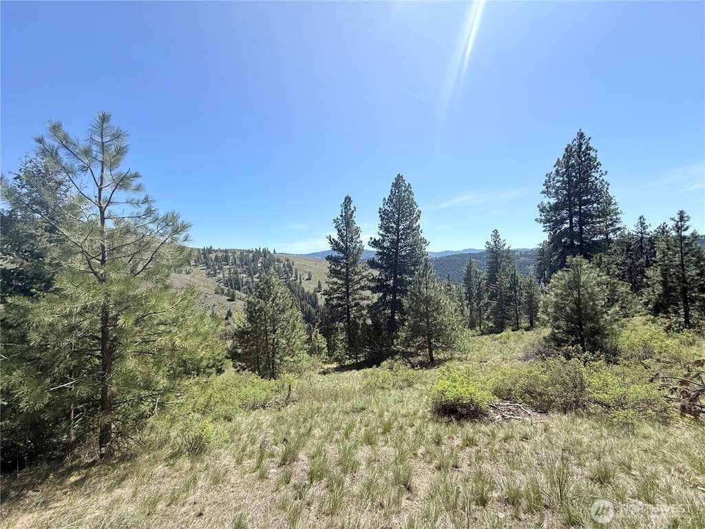 Photo of 35 Sqove Road, Wauconda, WA 98859 (MLS # 2541317)