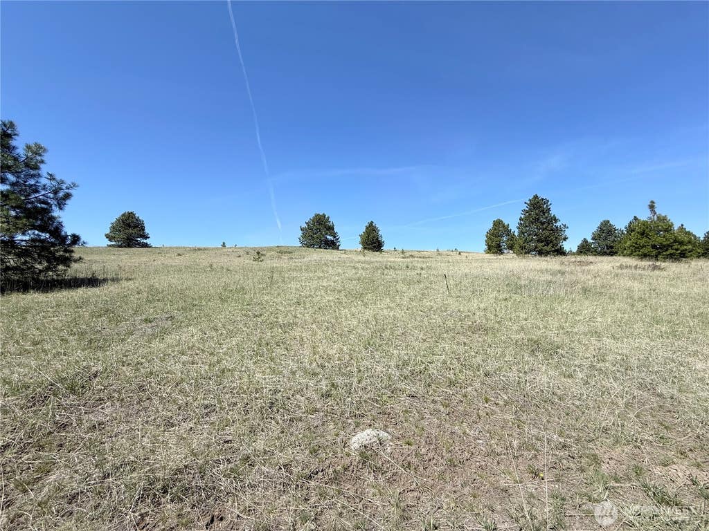 Photo of 35 Sqove Road, Wauconda, WA 98859 (MLS # 2541317)