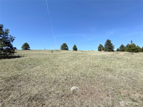 Photo of 35 Sqove Road, Wauconda, WA 98859 (MLS # 2541317)