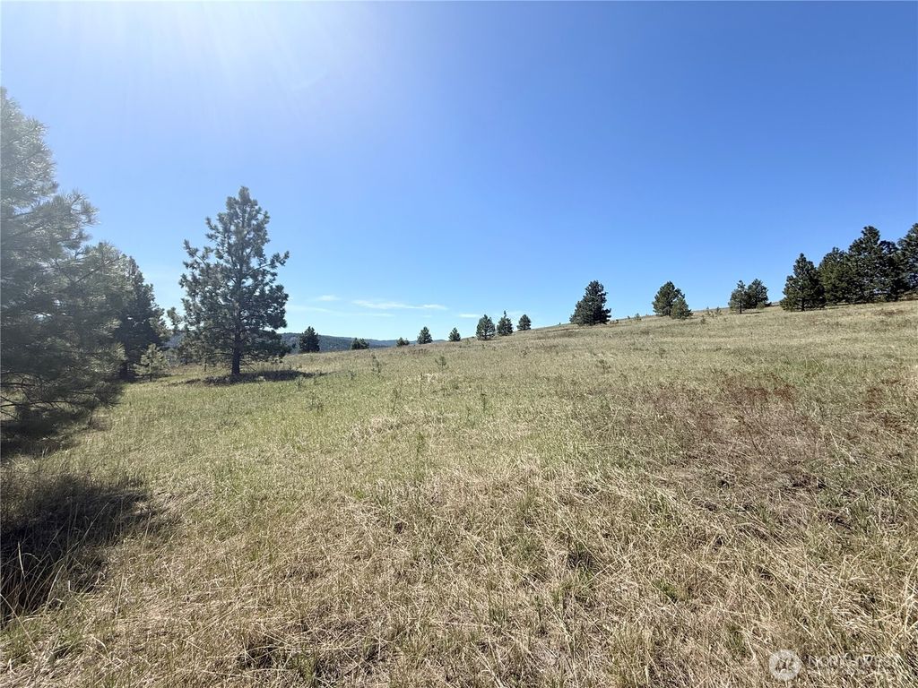 Photo of 35 Sqove Road, Wauconda, WA 98859 (MLS # 2541317)