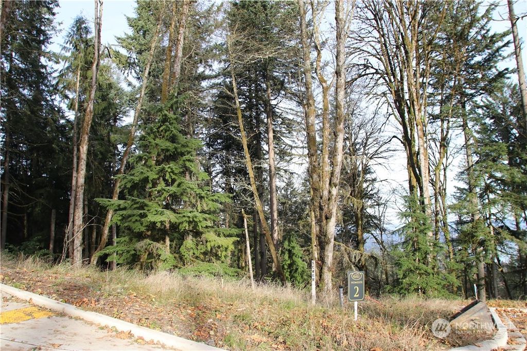 Photo of 17760 SE 62nd Place #Lot 9, Bellevue, WA 98006 (MLS # 2180037)