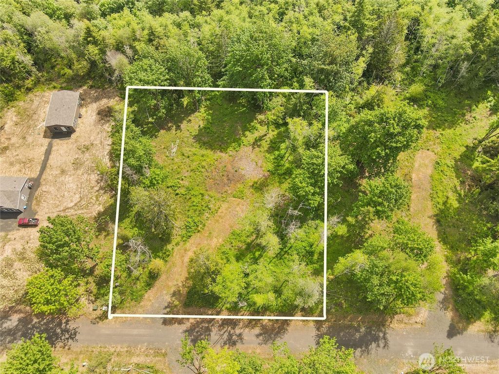 Photo of 91 E Cascara Cove Lane, Shelton, WA 98584 (MLS # 2521140)