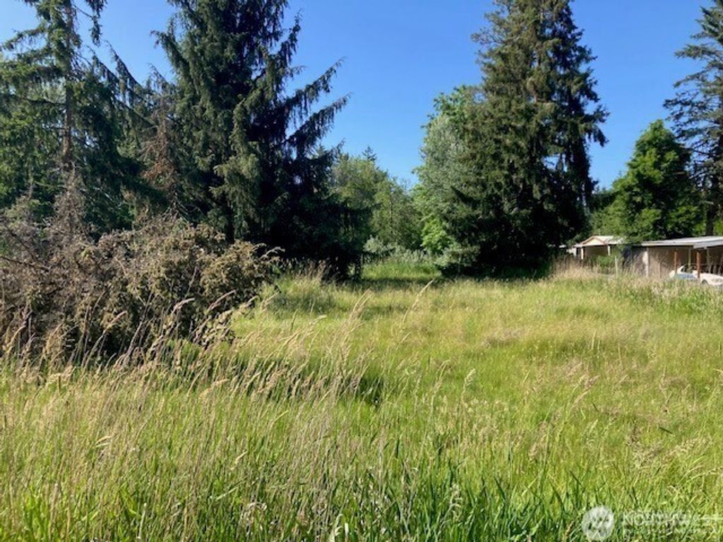 Photo of 2912 Scotlac Drive SW, Olympia, WA 98512 (MLS # 2517641)