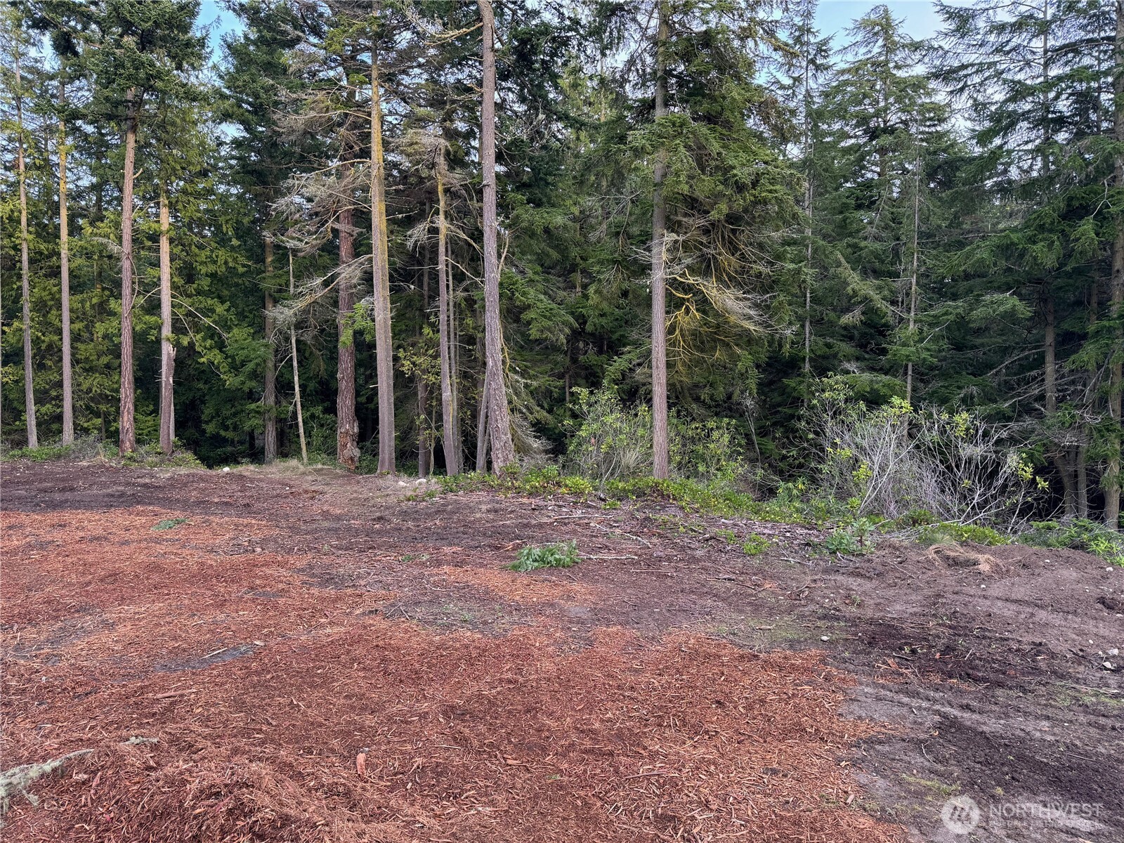 2121 Winterhawk Lane